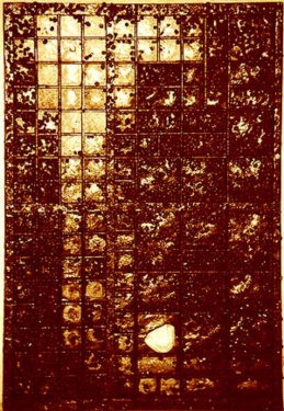 Un hallazgo importante.