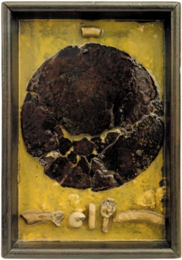 Reflejos de Zen nº VI.