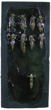 El último de la fila.